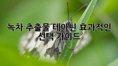 녹차 추출물 테아닌: 효과적인 선택 가이드