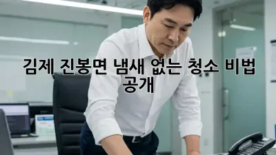 김제 진봉면 냄새 없는 청소, 비법 공개!